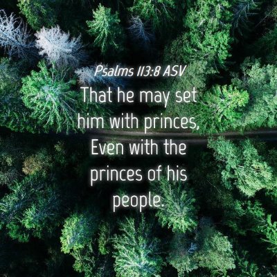 Picture 04 - Psalms 113:8 ASV - That he may set him with princes, Even with the - Bible Verse Picture