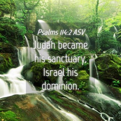 Picture 04 - Psalms 114:2 ASV - Judah became his sanctuary, Israel his - Bible Verse Picture