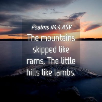 Picture 04 - Psalms 114:4 ASV - The mountains skipped like rams, The little hills - Bible Verse Picture