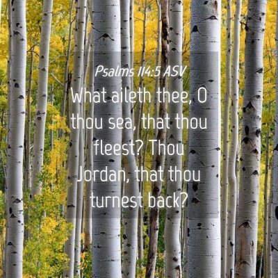 Picture 04 - Psalms 114:5 ASV - What aileth thee, O thou sea, that thou fleest? - Bible Verse Picture