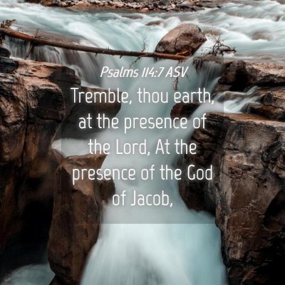 Picture 04 - Psalms 114:7 ASV - Tremble, thou earth, at the presence of the Lord, - Bible Verse Picture