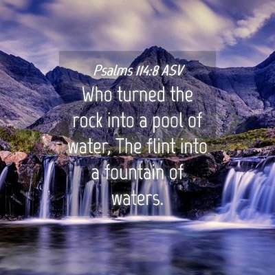Picture 04 - Psalms 114:8 ASV - Who turned the rock into a pool of water, The - Bible Verse Picture