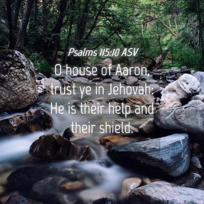 Picture 04 - Psalms 115:10 ASV - O house of Aaron, trust ye in Jehovah: He is - Bible Verse Picture
