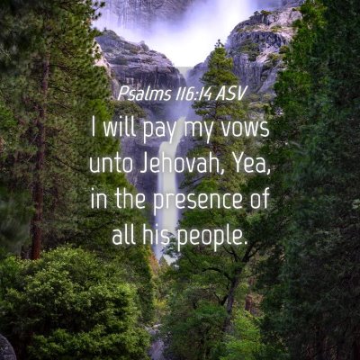 Picture 04 - Psalms 116:14 ASV - I will pay my vows unto Jehovah, Yea, in the - Bible Verse Picture