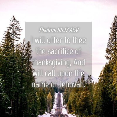 Picture 04 - Psalms 116:17 ASV - I will offer to thee the sacrifice of - Bible Verse Picture