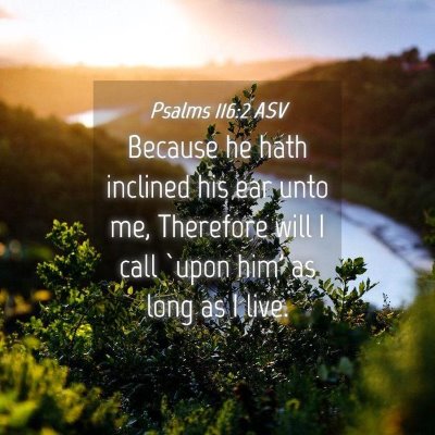 Picture 04 - Psalms 116:2 ASV - Because he hath inclined his ear unto me, - Bible Verse Picture