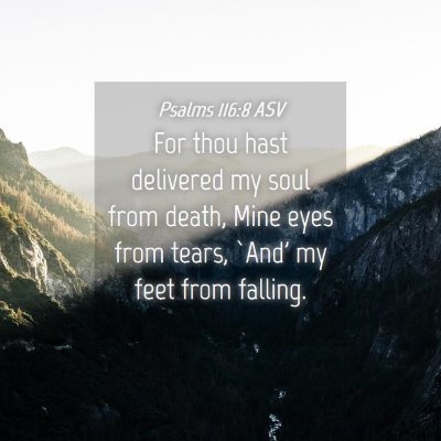Picture 04 - Psalms 116:8 ASV - For thou hast delivered my soul from death, Mine - Bible Verse Picture