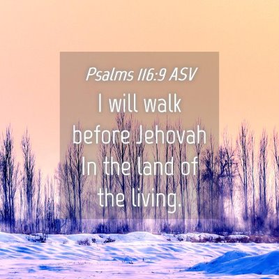 Picture 04 - Psalms 116:9 ASV - I will walk before Jehovah In the land of the - Bible Verse Picture
