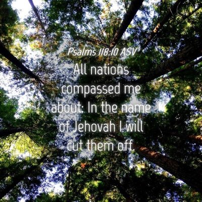 Picture 04 - Psalms 118:10 ASV - All nations compassed me about: In the name of - Bible Verse Picture