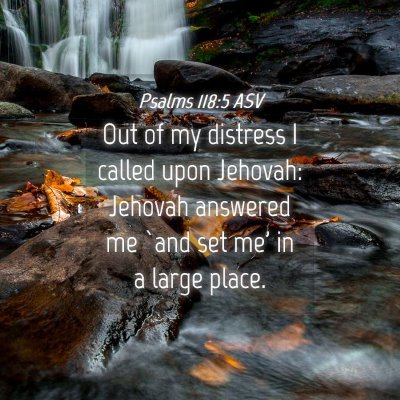 Picture 04 - Psalms 118:5 ASV - Out of my distress I called upon Jehovah: Jehovah - Bible Verse Picture