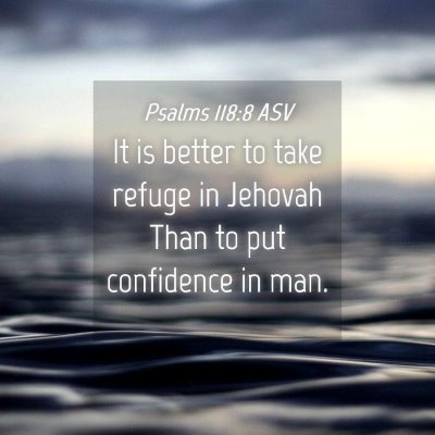 Picture 04 - Psalms 118:8 ASV - It is better to take refuge in Jehovah Than to - Bible Verse Picture