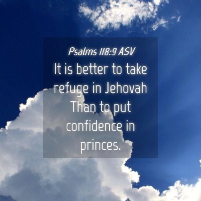 Picture 04 - Psalms 118:9 ASV - It is better to take refuge in Jehovah Than to - Bible Verse Picture