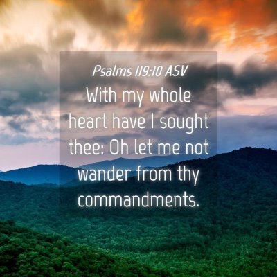Picture 04 - Psalms 119:10 ASV - With my whole heart have I sought thee: Oh let me - Bible Verse Picture