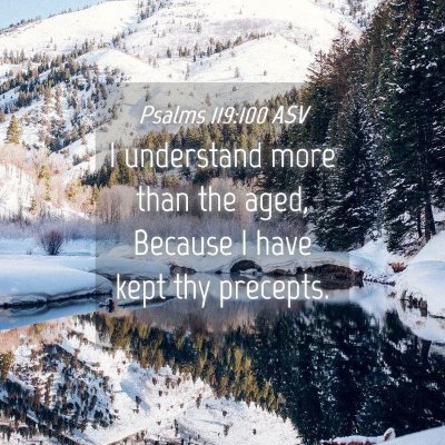 Picture 04 - Psalms 119:100 ASV - I understand more than the aged, Because I have - Bible Verse Picture