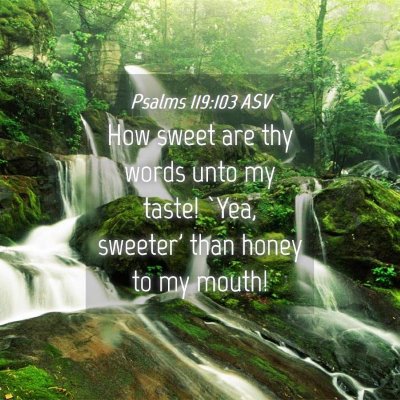 Picture 04 - Psalms 119:103 ASV - How sweet are thy words unto my taste! `Yea, - Bible Verse Picture
