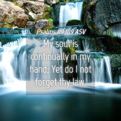Picture 04 - Psalms 119:109 ASV - My soul is continually in my hand; Yet do I not - Bible Verse Picture