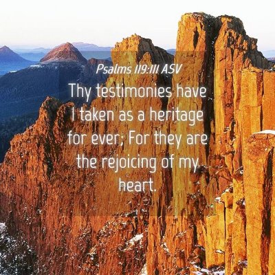 Picture 04 - Psalms 119:111 ASV - Thy testimonies have I taken as a heritage for - Bible Verse Picture