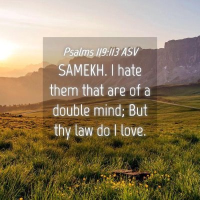 Picture 04 - Psalms 119:113 ASV - SAMEKH. I hate them that are of a double mind; - Bible Verse Picture