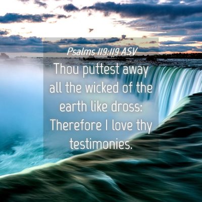 Picture 04 - Psalms 119:119 ASV - Thou puttest away all the wicked of the earth - Bible Verse Picture