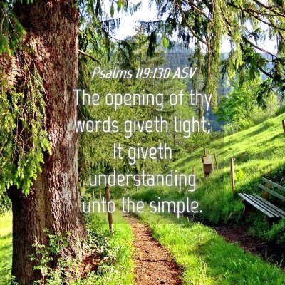 Picture 04 - Psalms 119:130 ASV - The opening of thy words giveth light; It giveth - Bible Verse Picture