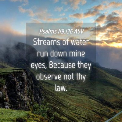 Picture 04 - Psalms 119:136 ASV - Streams of water run down mine eyes, Because they - Bible Verse Picture