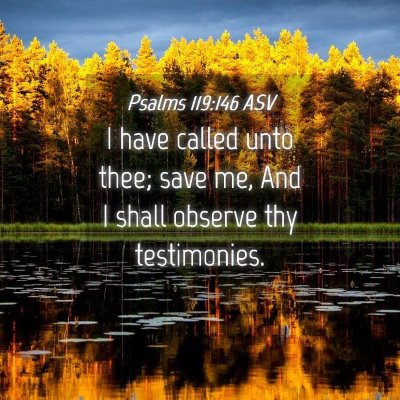 Picture 04 - Psalms 119:146 ASV - I have called unto thee; save me, And I shall - Bible Verse Picture