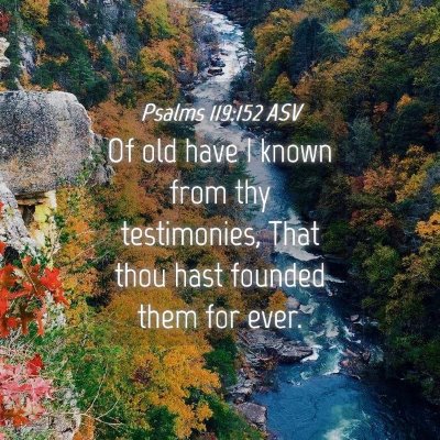Picture 04 - Psalms 119:152 ASV - Of old have I known from thy testimonies, That - Bible Verse Picture