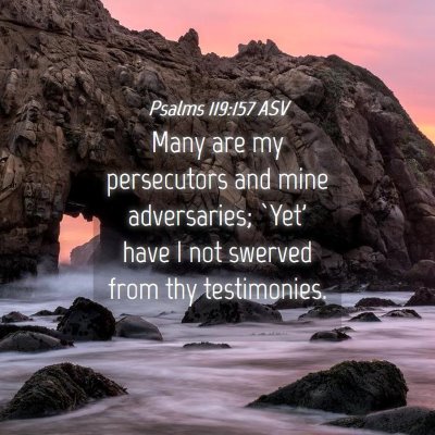 Picture 04 - Psalms 119:157 ASV - Many are my persecutors and mine adversaries; - Bible Verse Picture
