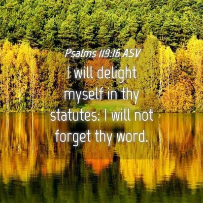Picture 04 - Psalms 119:16 ASV - I will delight myself in thy statutes: I will not - Bible Verse Picture