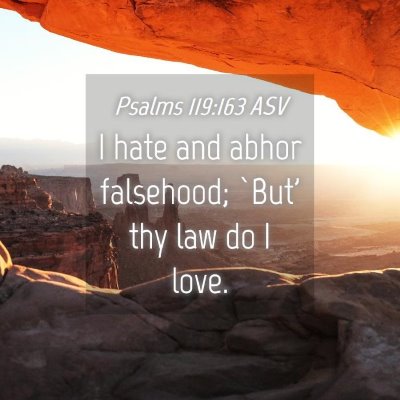 Picture 04 - Psalms 119:163 ASV - I hate and abhor falsehood; `But' thy law do I - Bible Verse Picture
