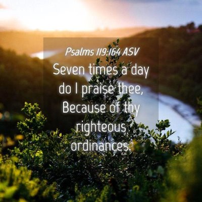 Picture 04 - Psalms 119:164 ASV - Seven times a day do I praise thee, Because of - Bible Verse Picture