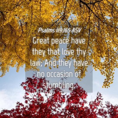 Picture 04 - Psalms 119:165 ASV - Great peace have they that love thy law; And they - Bible Verse Picture