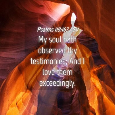 Picture 04 - Psalms 119:167 ASV - My soul hath observed thy testimonies; And I love - Bible Verse Picture