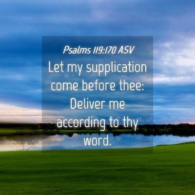 Picture 04 - Psalms 119:170 ASV - Let my supplication come before thee: Deliver me - Bible Verse Picture