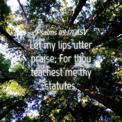 Picture 04 - Psalms 119:171 ASV - Let my lips utter praise; For thou teachest me - Bible Verse Picture