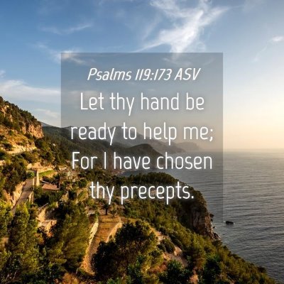 Picture 04 - Psalms 119:173 ASV - Let thy hand be ready to help me; For I have - Bible Verse Picture