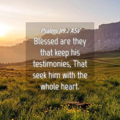 Picture 04 - Psalms 119:2 ASV - Blessed are they that keep his testimonies, That - Bible Verse Picture