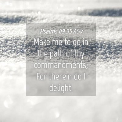 Picture 04 - Psalms 119:35 ASV - Make me to go in the path of thy commandments; - Bible Verse Picture
