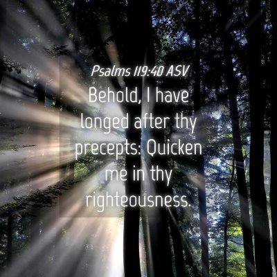 Picture 04 - Psalms 119:40 ASV - Behold, I have longed after thy precepts: Quicken - Bible Verse Picture