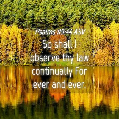 Picture 04 - Psalms 119:44 ASV - So shall I observe thy law continually For ever - Bible Verse Picture