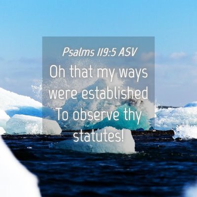 Picture 04 - Psalms 119:5 ASV - Oh that my ways were established To observe thy - Bible Verse Picture