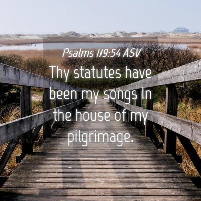 Picture 04 - Psalms 119:54 ASV - Thy statutes have been my songs In the house of - Bible Verse Picture