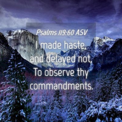 Picture 04 - Psalms 119:60 ASV - I made haste, and delayed not, To observe thy - Bible Verse Picture