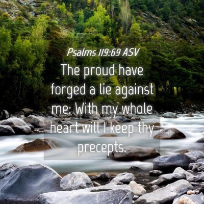 Picture 04 - Psalms 119:69 ASV - The proud have forged a lie against me: With my - Bible Verse Picture