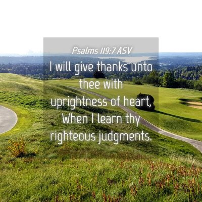 Picture 04 - Psalms 119:7 ASV - I will give thanks unto thee with uprightness of - Bible Verse Picture