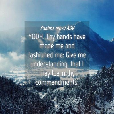 Picture 04 - Psalms 119:73 ASV - YODH. Thy hands have made me and fashioned me: - Bible Verse Picture