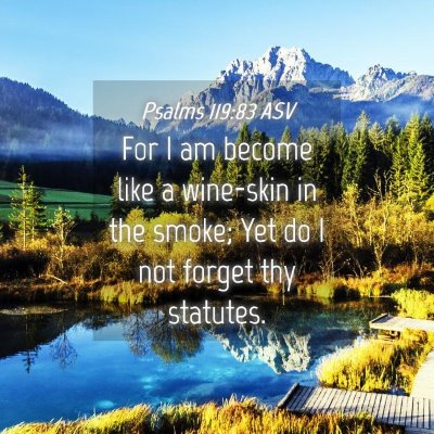 Picture 04 - Psalms 119:83 ASV - For I am become like a wine-skin in the smoke; - Bible Verse Picture