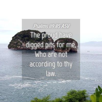 Picture 04 - Psalms 119:85 ASV - The proud have digged pits for me, Who are not - Bible Verse Picture