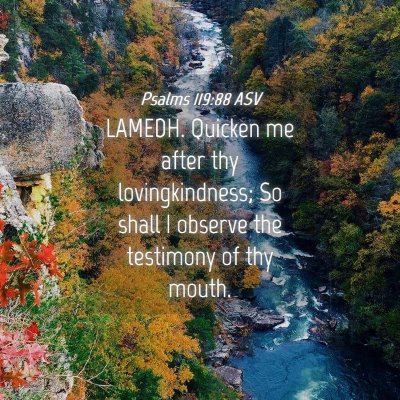 Picture 04 - Psalms 119:88 ASV - LAMEDH. Quicken me after thy lovingkindness; So - Bible Verse Picture