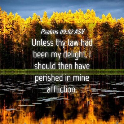 Picture 04 - Psalms 119:92 ASV - Unless thy law had been my delight, I should then - Bible Verse Picture
